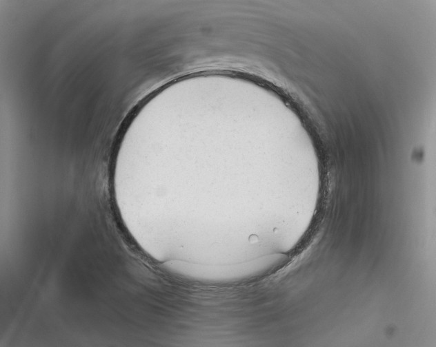 X0000116371505201001131736