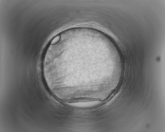 X0000116371506201001131736