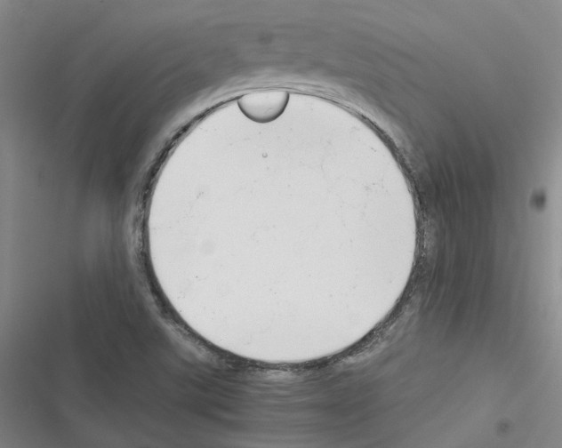 X0000116371507201001131736