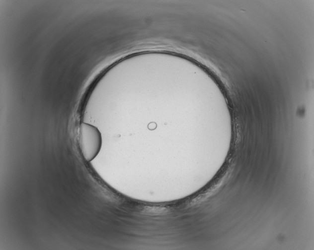 X0000116371509201001131736