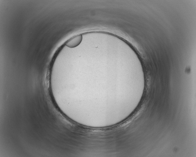 X0000116371510201001131737