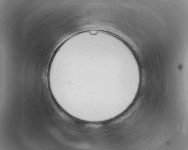 X0000116371513201001131737