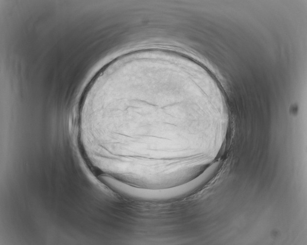 X0000116371515201001131737