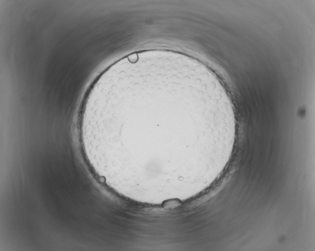 X0000116371517201001131737