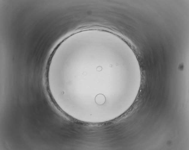 X0000116371518201001131737