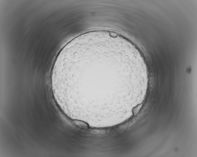 X0000116371521201001131737