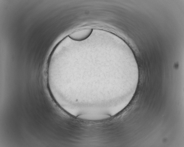 X0000116371522201001131737