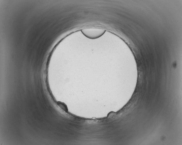 X0000116371523201001131737