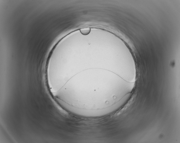 X0000116371525201001131737