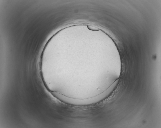 X0000116371527201001131737