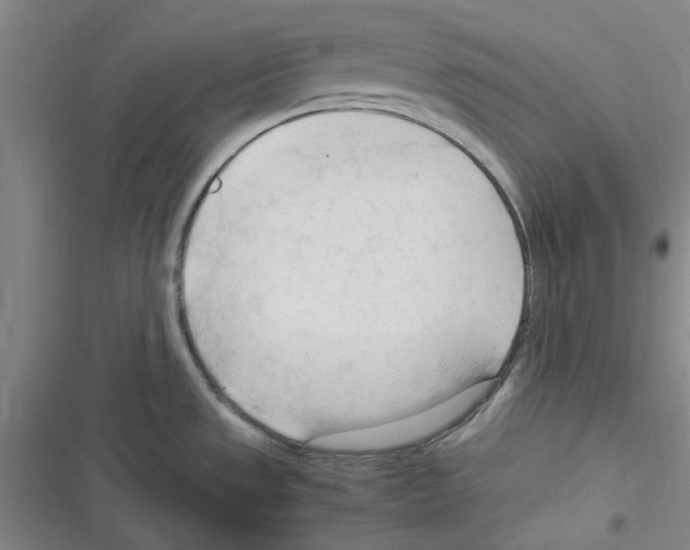 X0000116371533201001131737