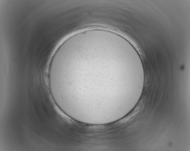 X0000116371535201001131737