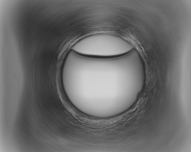 X0000116380001200912020955
