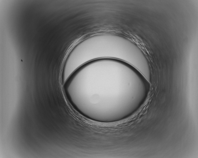 X0000116380003200912020955