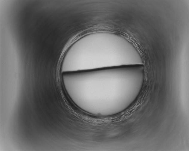 X0000116380004200912020955