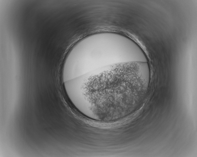 X0000116380010200912020955