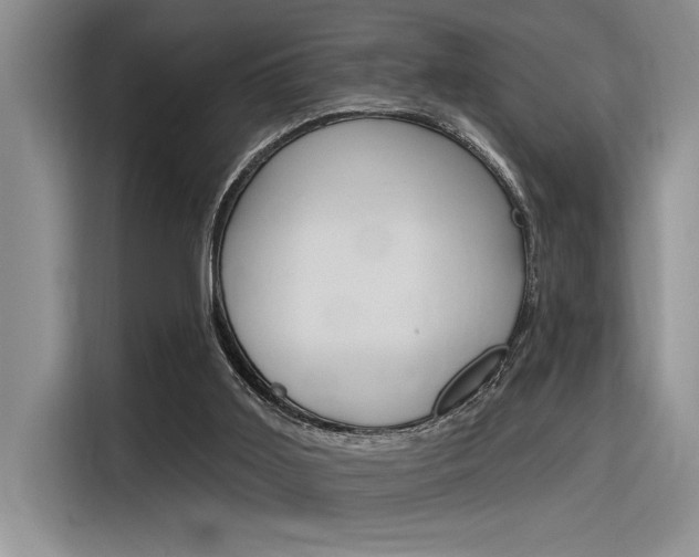 X0000116380011200912020955
