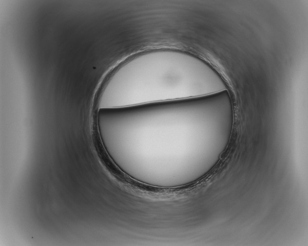X0000116380012200912020955