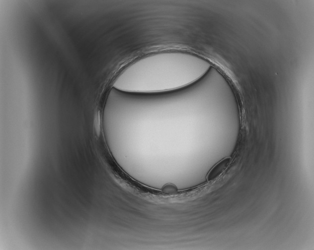 X0000116380013200912020955