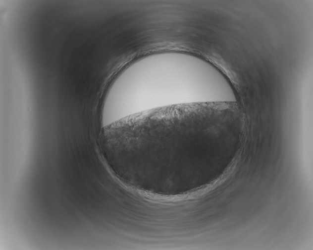 X0000116380014200912020955