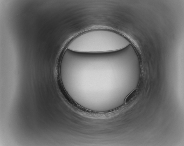 X0000116380015200912020955