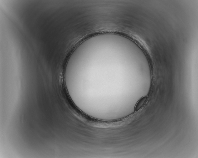 X0000116380017200912020955