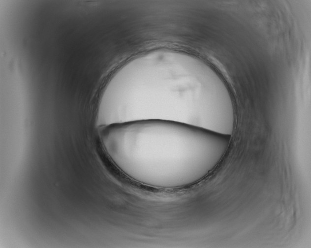 X0000116380020200912020955