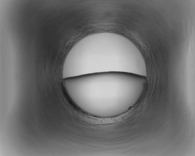 X0000116380031200912020955
