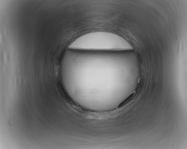 X0000116380033200912020955