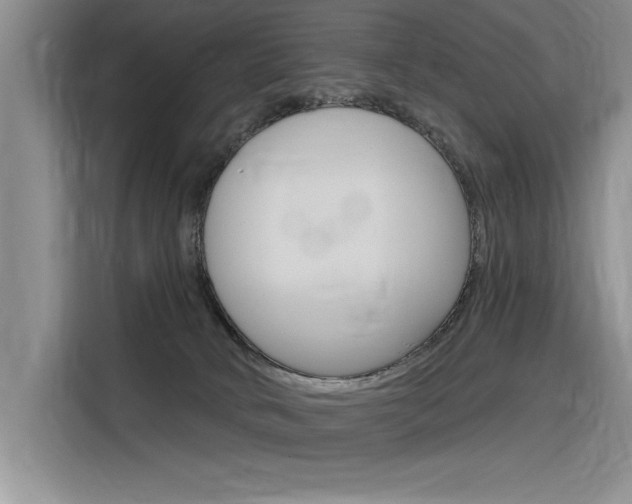 X0000116380034200912020954