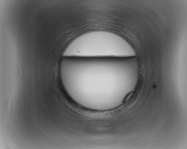 X0000116380036200912020954
