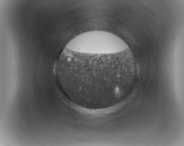 X0000116380038200912020954
