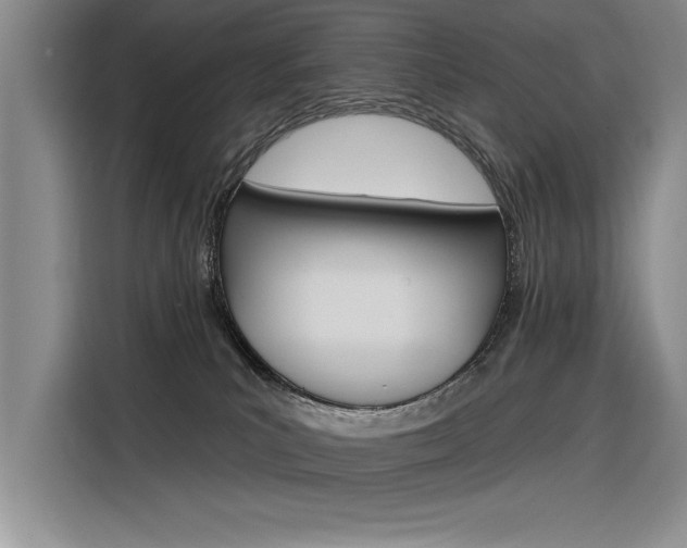 X0000116380039200912020954