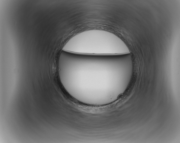 X0000116380040200912020954