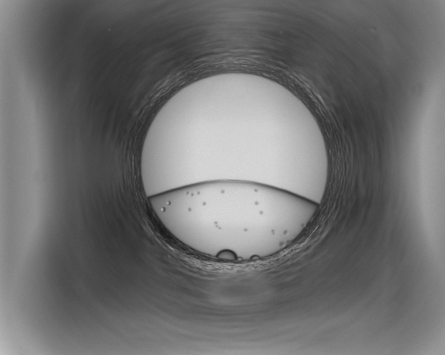 X0000116380044200912020954