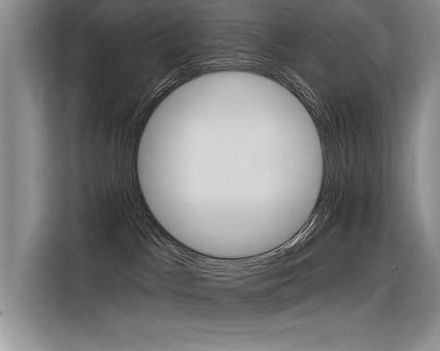 X0000116380045200912020954