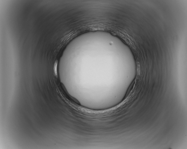 X0000116380047200912020954
