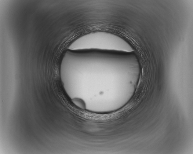 X0000116380048200912020954