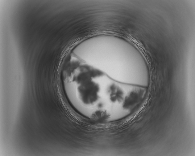 X0000116380049200912020954