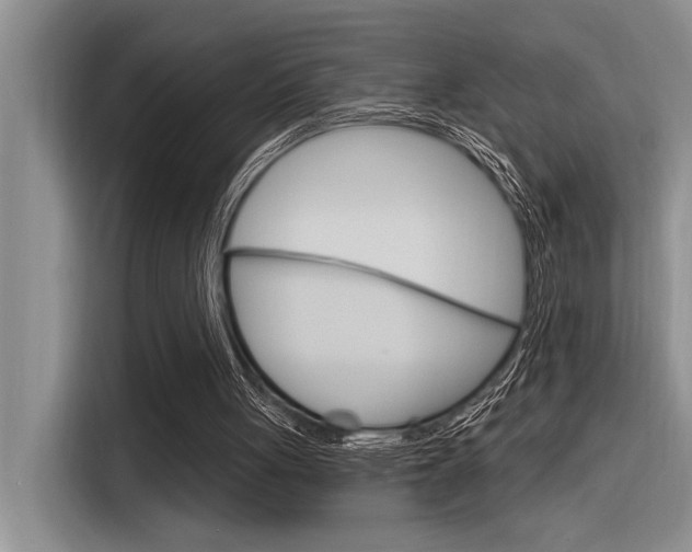 X0000116380051200912020954