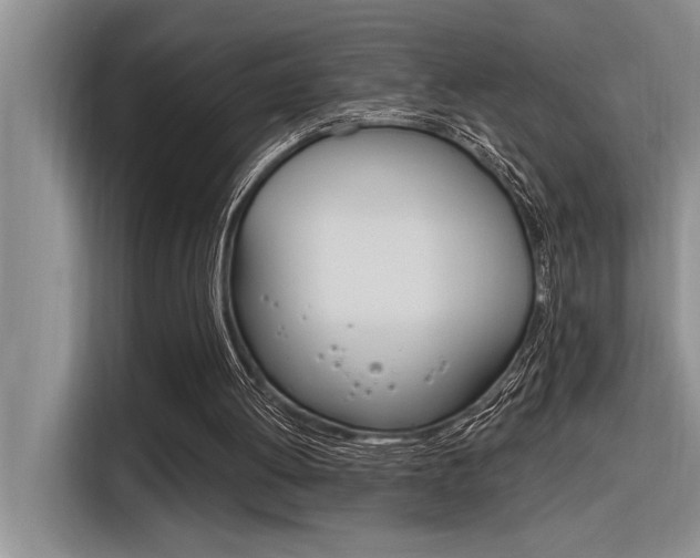 X0000116380052200912020954