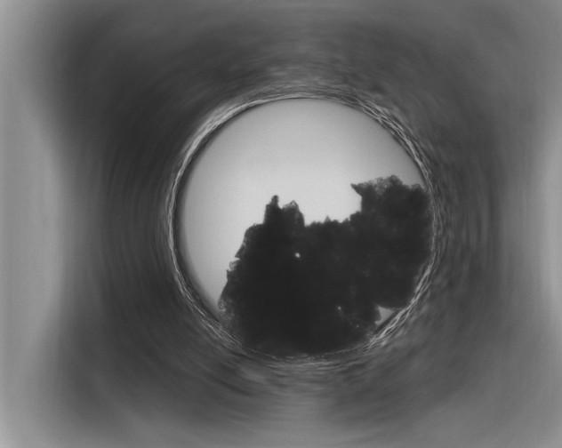 X0000116380054200912020954