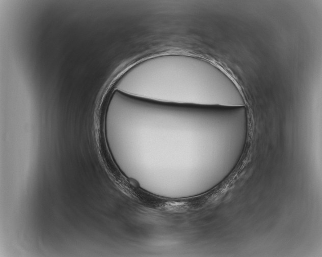 X0000116380055200912020954
