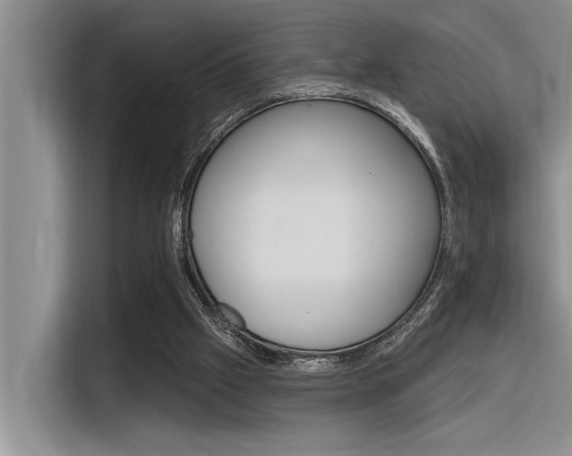 X0000116380057200912020954