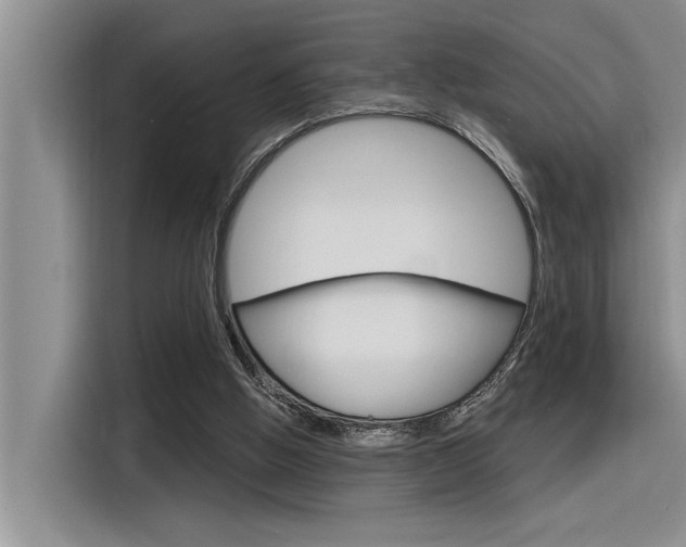 X0000116380058200912020954