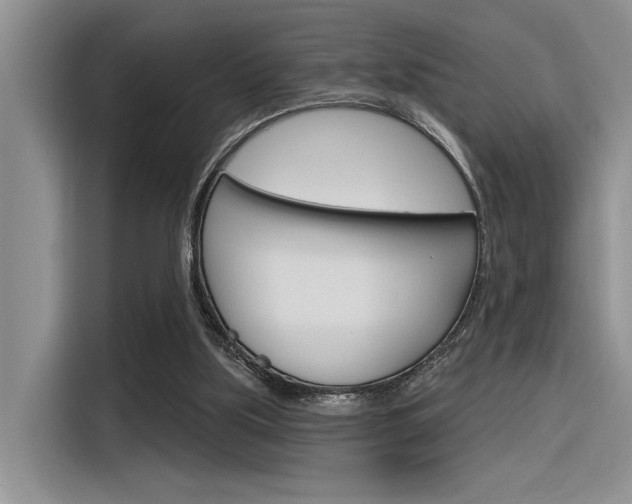 X0000116380059200912020954