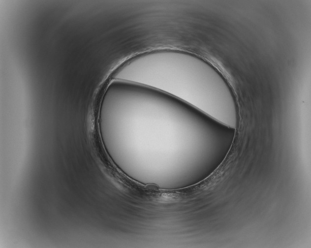 X0000116380060200912020954