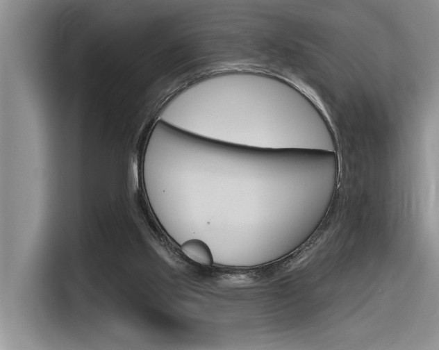 X0000116380061200912020954