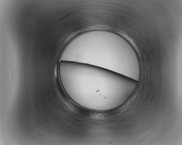 X0000116380062200912020954
