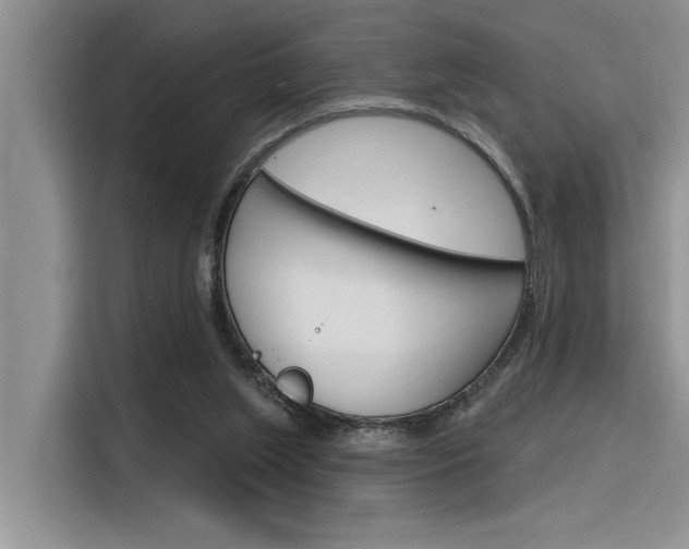 X0000116380063200912020954